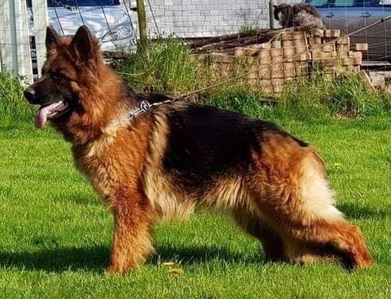 Naïade De La Vallée De La Flourie